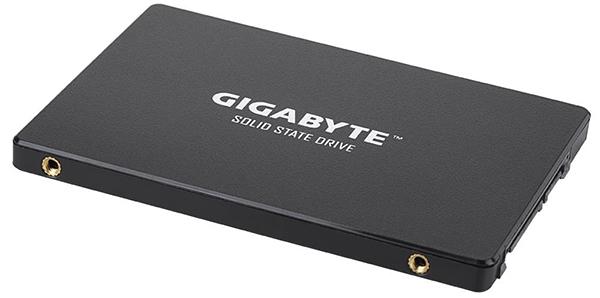 Gigabyte GP-GSTFS31240GNTD